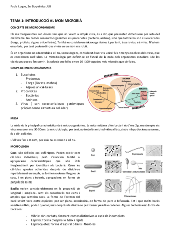 Microbiologia-Paula-Luque.pdf