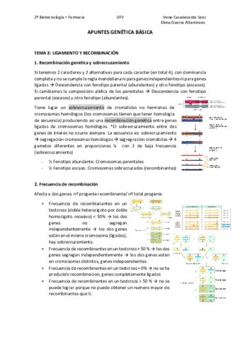 T3.pdf