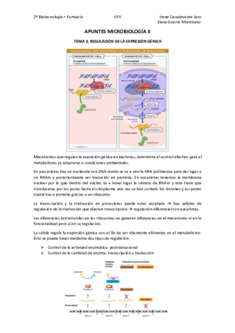 T3.pdf