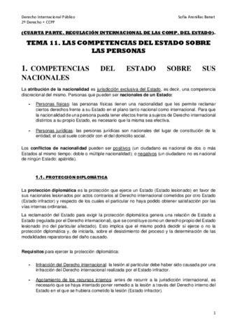 DIPU-Tema-11.pdf