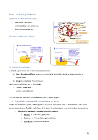 Patologia-Medular.pdf