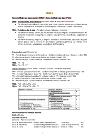 TEMA-4-AEF.pdf