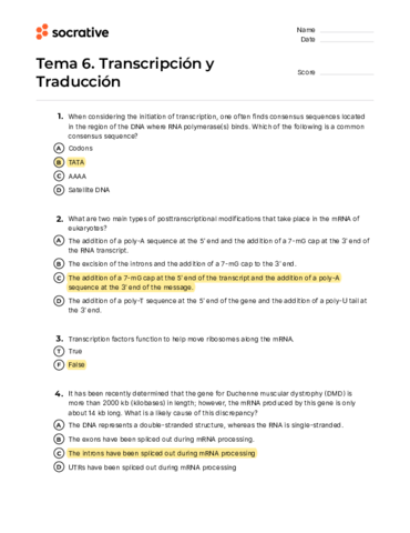 Socrative-Tema-6.pdf