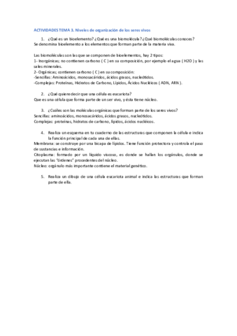 ACTIVIDADES-TEMA-3-IC-PDF.pdf