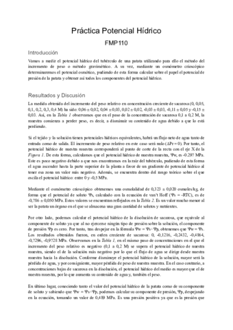 informe-1-FMP110.pdf