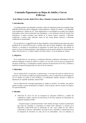informe-final.pdf