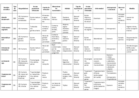 tabla-resumen-protozoos.pdf