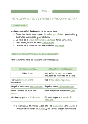 BIOLOGIA-2o-BAC-TEMA-6.pdf