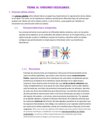 TEMA-15-UNIONES.pdf