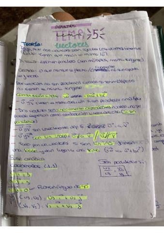Apuntes-vectores-teoria.pdf