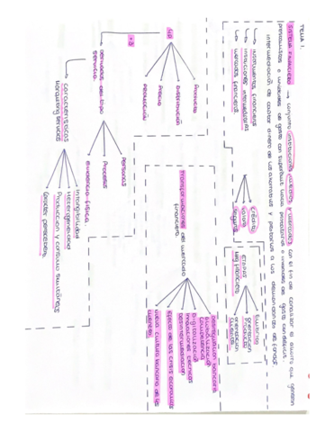 Esquema-de-todo-el-curso.pdf