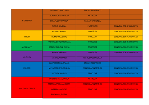 TIPOS-ARTICULACIONES-TRONCO-SUPERIOR.pdf