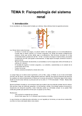 FISH-Tema-9-Fisiopatologia-del-Sistema-Renal.pdf