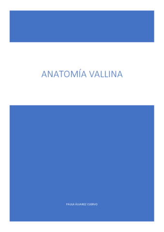 todo-vallina.pdf