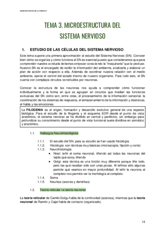 Bases-Biologias-de-la-Conducta-Tema-3.pdf