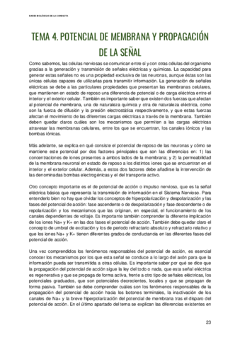 Bases-Biologias-de-la-Conducta-Tema-4.pdf