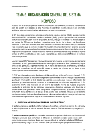 Bases-Biologias-de-la-Conducta-Tema-6.pdf