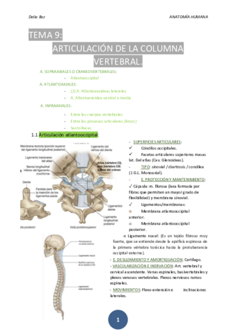 T-9-ARTICULACIONES-DE-LA-COLUMNA-VERTEBRAL.pdf