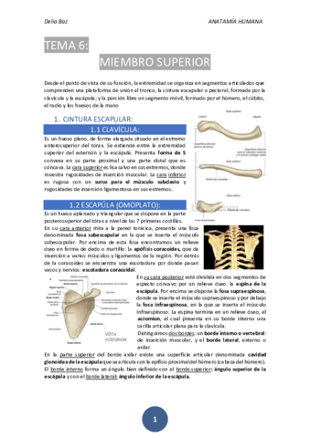 T-6-MIEMBRO-SUPERIOR.pdf