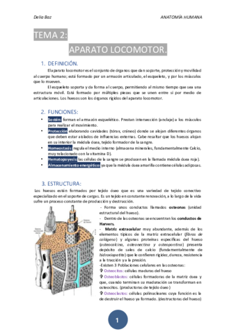 T-2-APARATO-LOCOMOTOR.pdf