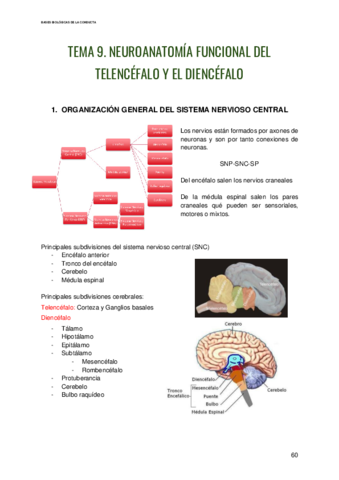 Bases-Biologias-de-la-Conducta-Tema-9.pdf