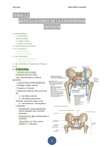 T-12-ARTICULACION-EXTREMIDAD-INFERIOR.pdf