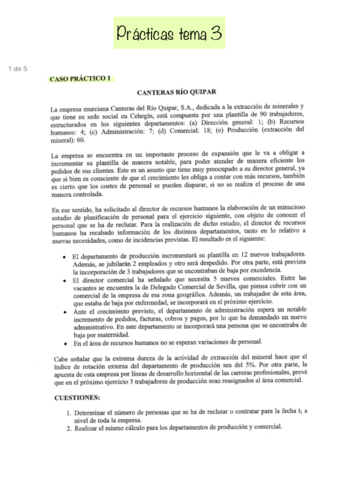 Practicas.pdf