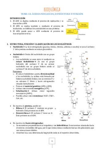 Tema-10.pdf