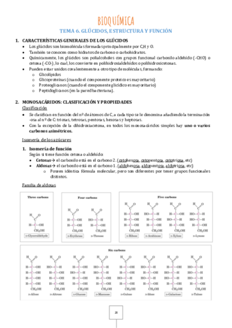 Tema-6.pdf