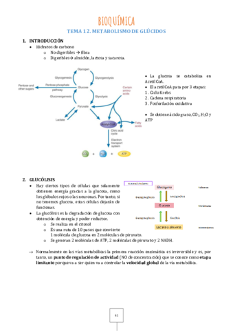 Tema-12.pdf