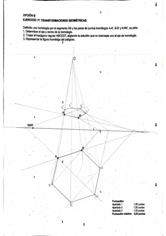 Homologia-y-afinidad.pdf