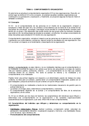 TEMA-6.pdf