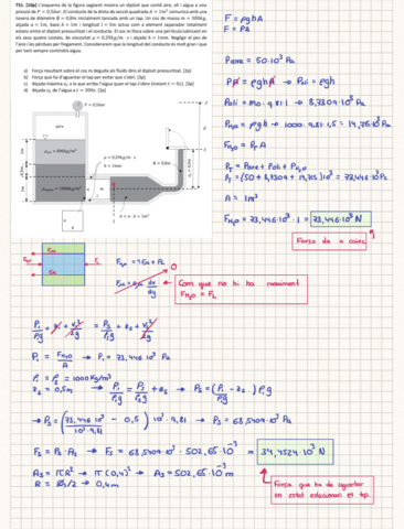 Treball-de-si-tesis-1-Fluids.pdf