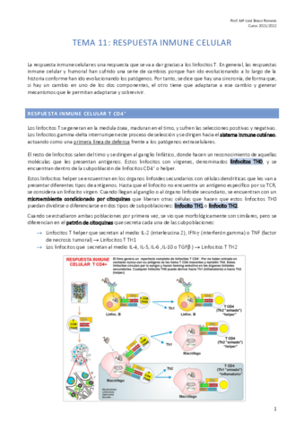 Tema-11.pdf