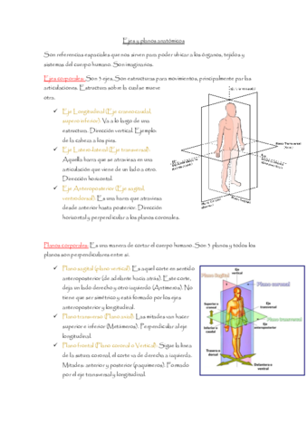 Resumen-planos-y-ejesSemana-01.pdf