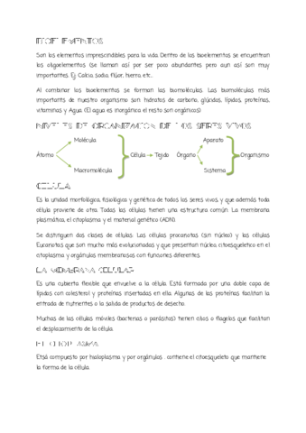 Bioelementos.pdf