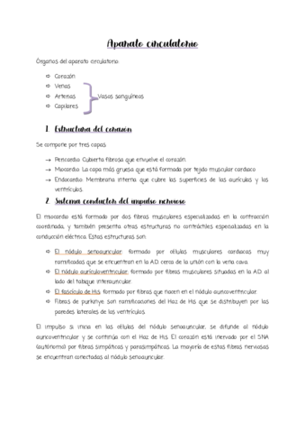 Aparato-circulatorio.pdf