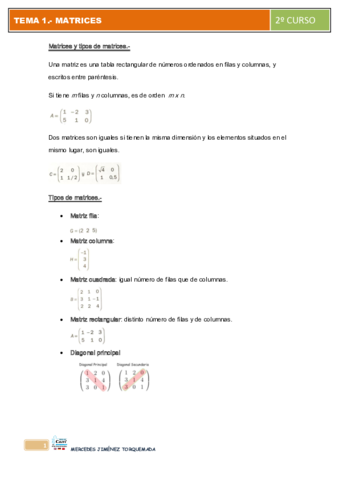 ESQUEMA-TEMA-1-MATRICES.pdf