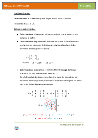 ESQUEMA-TEMA-2-DETERMINANTES.pdf