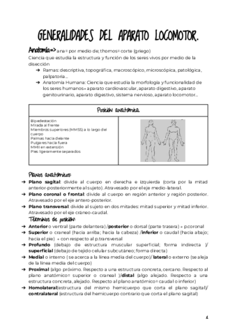 GENERALIDADES-TRONCO-y-MMSS.pdf