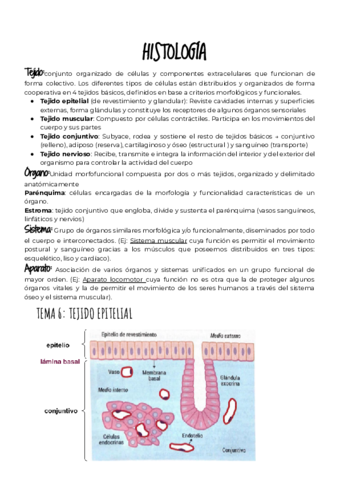 BLOQUE-2-HISTOLOGIA.pdf