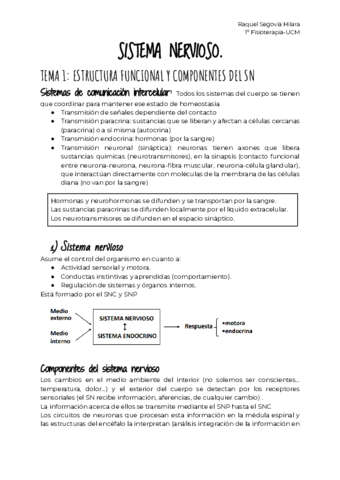 3-SISTEMA-NERVIOSO.pdf