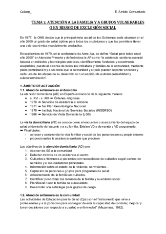 TEMA-1-ATENCION-A-LA-FAMILIA-Y-A-GRUPOS-VULNERABLES-O-EN-RIESGO-DE-EXCLUSION-SOCIAL.pdf