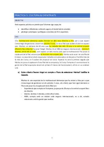 PRACTICA-5-EXPATRIATS.pdf
