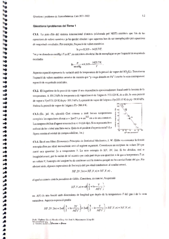 TermoTutelada1.pdf