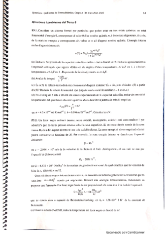 TermoTutelada5.pdf