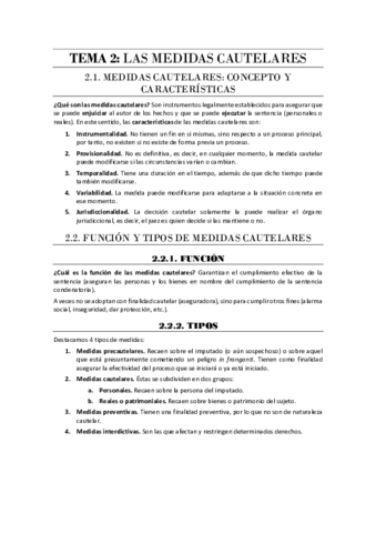 Tema-2-Las-medidas-cautelares.pdf