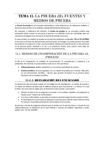 Tema-11-La-prueba-II.pdf