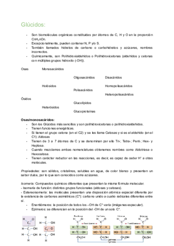 Apuntes-glucidos.pdf