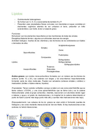 Apuntes-lipidos.pdf